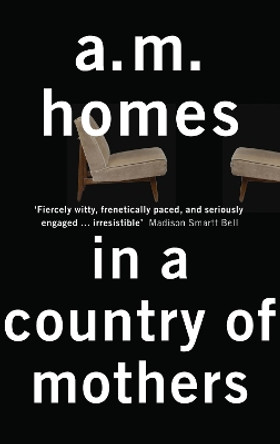 In A Country Of Mothers by A. M. Homes