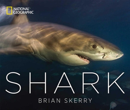 Shark by Brian Skerry