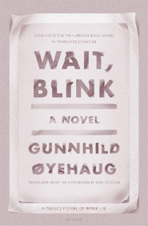 Wait, Blink: A Perfect Picture of Inner Life: A Novel by Gunnhild Oyehaug