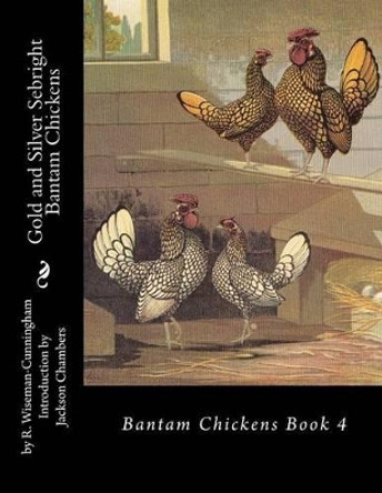 Gold and Silver Sebright Bantam Chickens by Jackson Chambers