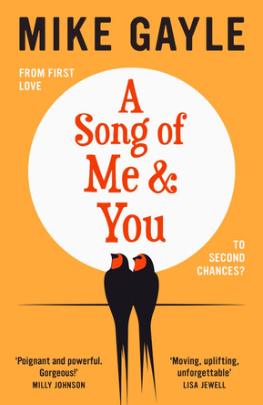 A Song of Me and You: everyone knows this rock star's name: only his first love understands his heart Mike Gayle 9781529344813