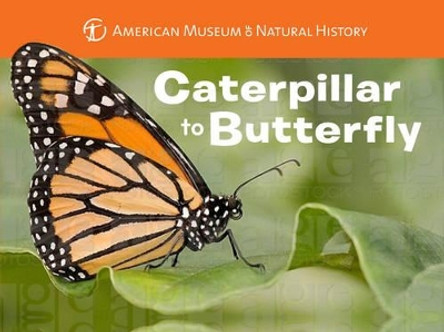 Caterpillar to Butterfly by Melissa Stewart