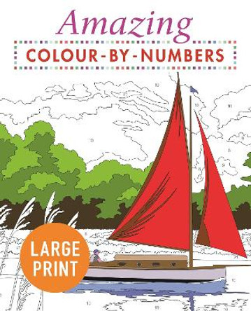 Amazing Colour-by-Numbers Large Print by Arcturus Publishing