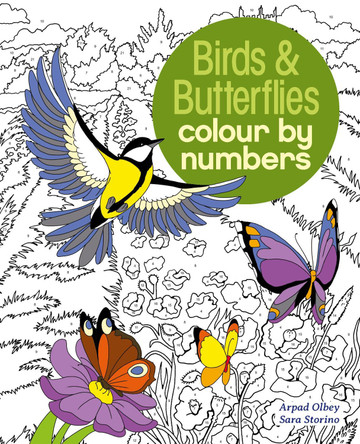 Birds & Butterflies Colour by Numbers by Sara Storino