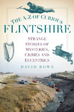 The A-Z of Curious Flintshire by David Rowe