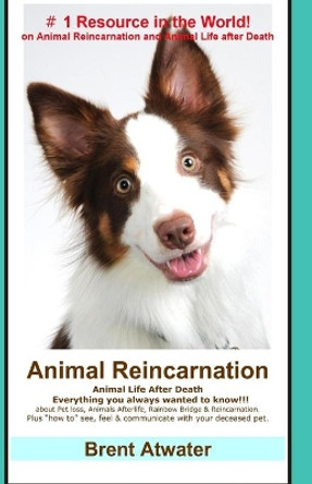 Animal Reincarnation: Everything You Always Wanted to Know! about Pet Reincarnation plus how to techniques to see, feel & communicate with your deceased pet by Brent Atwater