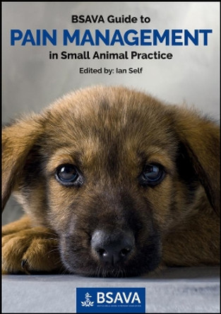 BSAVA Guide to Pain Management in Small Animal Practice by Ian Self