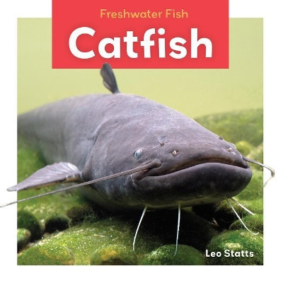 Catfish by Leo Statts