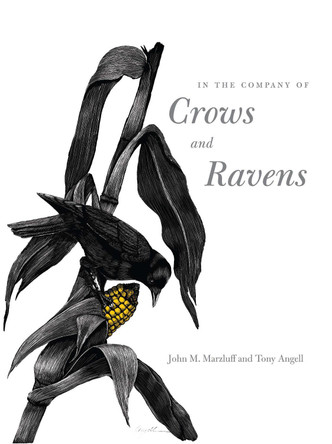 In the Company of Crows and Ravens by John M. Marzluff