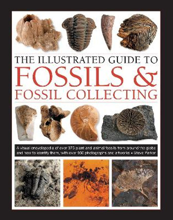 Fossils & Fossil Collecting, The Illustrated Guide to: A reference guide to over 375 plant and animal fossils from around the globe and how to identify them, with over 950 photographs and artworks by Steve Parker