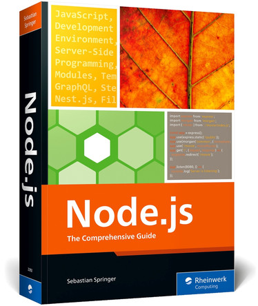 Node.Js: The Comprehensive Guide by Sebastian Springer