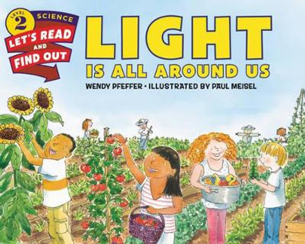 Light Is All Around Us by Wendy Pfeffer