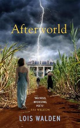 Afterworld by Lois Walden