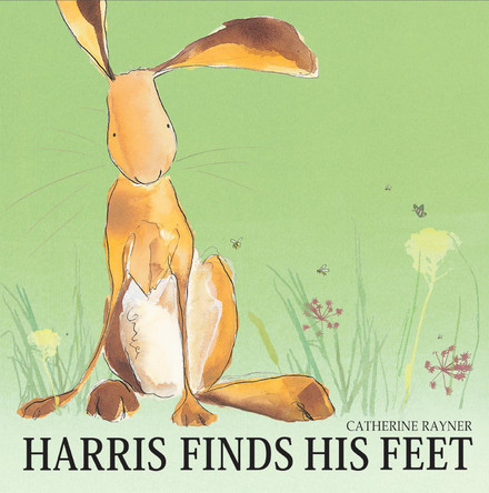Harris Finds His Feet by Catherine Rayner 9781845065904