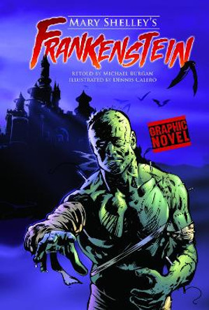 Frankenstein by Mary Shelley 9781406213539