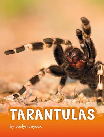 Tarantulas by Jaclyn Jaycox 9781977117991