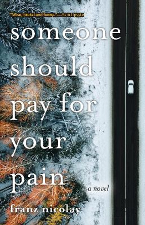 Someone Should Pay for Your Pain by Franz Nicolay