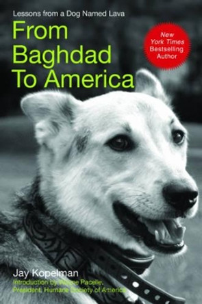 From Baghdad to America: Life After War for a Marine and His Rescued Dog by Jay Kopelman 9781602397439