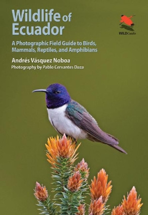 Wildlife of Ecuador: A Photographic Field Guide to Birds, Mammals, Reptiles, and Amphibians by Andres Vasquez Noboa 9780691161365