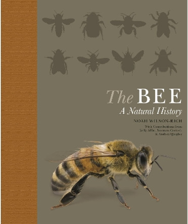 The Bee: A Natural History by Noah Wilson-Rich 9780691182476