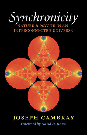 Synchronicity: Nature and Psyche in an Interconnected Universe by Joseph Cambray 9781603443005