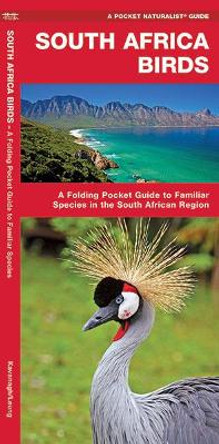 South Africa Birds: A Folding Pocket Guide to Familiar Species by James Kavanagh 9781583559864
