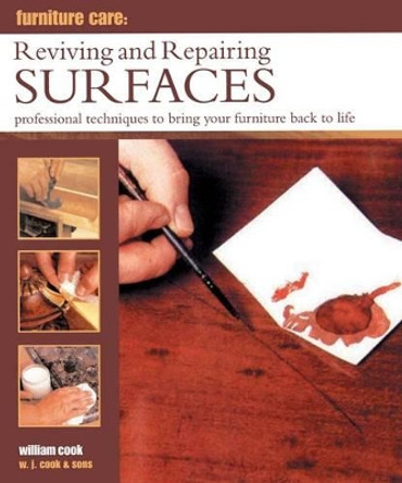 Furniture Care: Reviving and Repairing Surfaces: Professional Techniques to Bring Your Furniture Back to Life by William Cook 9780754829171