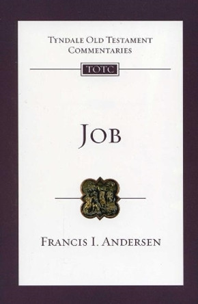 Job: An Introduction and Survey by F.I. Anderson 9781844742912
