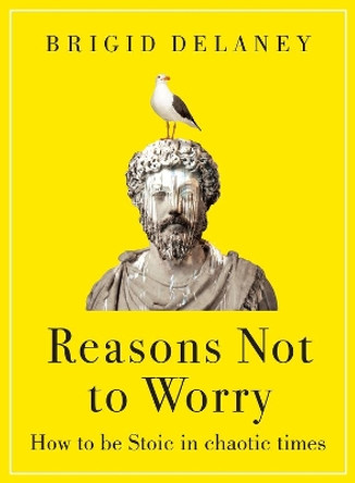 Reasons Not to Worry: How to be Stoic in chaotic times by Brigid Delaney 9780349436296