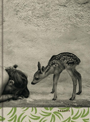 Summer Of The Fawn by Alain Laboile 9783868288957