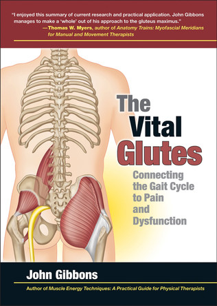 The Vital Glutes: Connecting the Gait Cycle to Pain and Dysfunction by John Gibbons 9781905367498