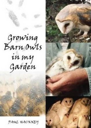 Growing Barn Owls in my Garden by Paul Hackney 9781849950275