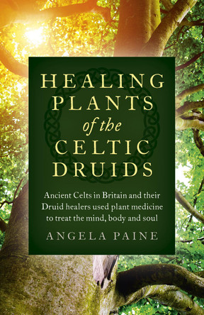 Healing Plants of the Celtic Druids: Ancient Celts in Britain and their Druid healers used plant medicine to treat the mind, body and soul Angela Paine 9781785355547