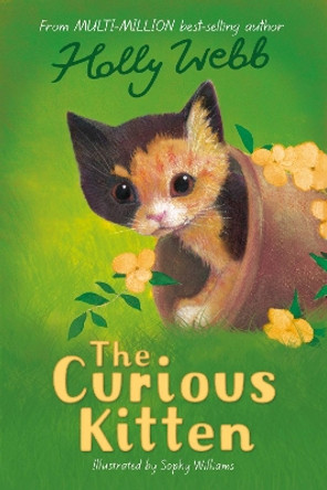 The Curious Kitten by Holly Webb 9781847156617