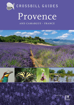 Provence: And Camargue, France by Dirk Hilbers 9789491648168
