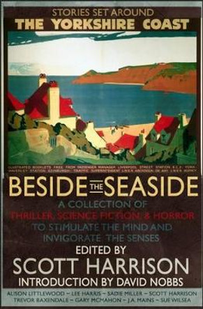 Beside the Seaside by Alison Littlewood 9781909679115