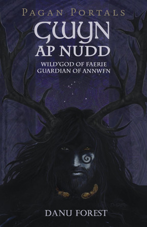Pagan Portals - Gwyn ap Nudd: Wild god of Faery, Guardian of Annwfn by Danu Forest 9781785356292