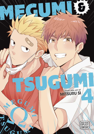 Megumi & Tsugumi, Vol. 4 by Mitsuru Si 9781974741267