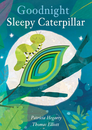 Goodnight Sleepy Caterpillar by Patricia Hegarty 9781848576933