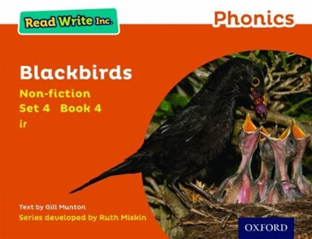 Read Write Inc. Phonics: Orange Set 4 Non-fiction 4 Blackbirds by Gill Munton 9780198373667