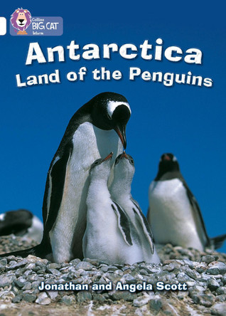Antarctica: Land of the Penguins: Band 10/White (Collins Big Cat) by Jonathan Scott