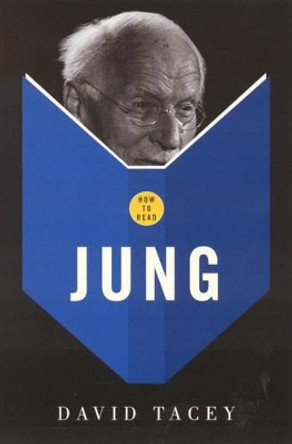How To Read Jung by David Tacey 9781862077263