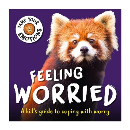 Tame Your Emotions: Feeling Worried by Susie Williams 9781445181134