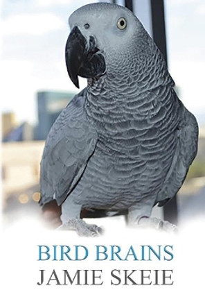 Bird Brains by Jamie Skeie 9781096238126