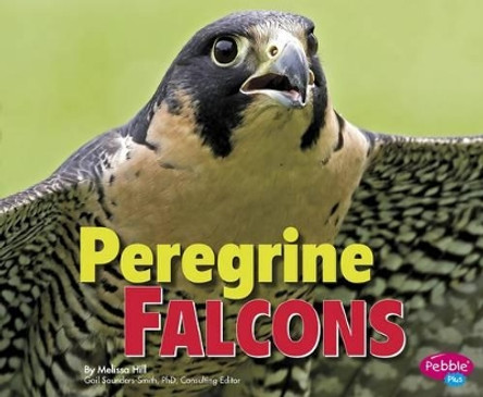 Peregrine Falcons by Gail Saunders-Smith 9781491423103