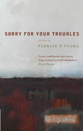 Sorry For Your Troubles by Padraig O Tuama 9781848254626