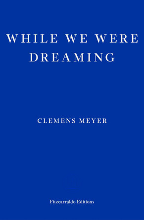 While We Were Dreaming by Clemens Meyer 9781804270288