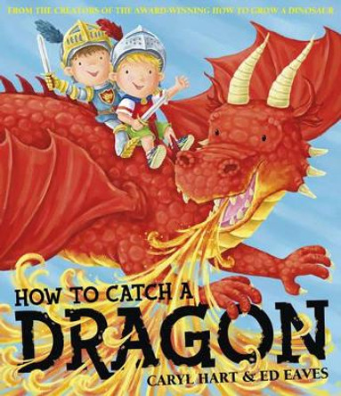 How To Catch a Dragon by Caryl Hart 9780857079596