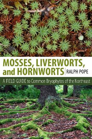 Mosses, Liverworts, and Hornworts: A Field Guide to the Common Bryophytes of the Northeast by Ralph Pope 9781501700781