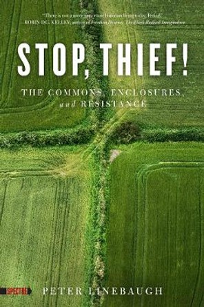 Stop, Thief!: The Commons, Enclosures, And Resistance by Peter Linebaugh 9781604867473